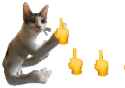 ssstwitter.com_1752395782396 (1)_thumb.jpg