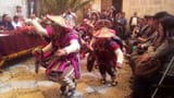 llama arrieros
