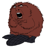 beaver_cobson