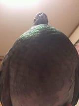 1721324407460012