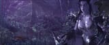nelf