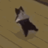 1737881169402123