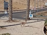 IMG_20250713_171959