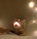 1703370047469759