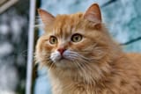sergey-semin-ZjzXfBYxM_M-unsplash-1280x853[1]