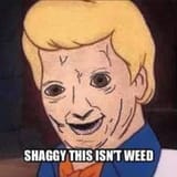 shaggy this isn&#039;t weed