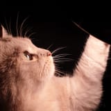7545