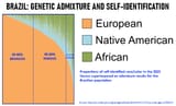 Brazil Genetic Admixture and Self-Identification