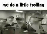 troll-get-trolled