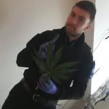 Do Not Blaze It Criminal