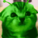 glorp-cat