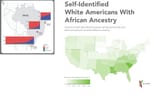 Admixture-in-the-Brazilian-cohorts-BMI-distributions-and-Admixture-Mapping-AM