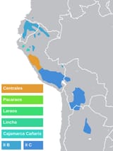 Quechua_(subgrupos).svg