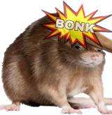 BONKRAT