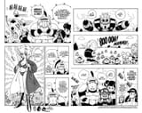 CH204 PG003