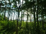 IMG_20250714_071440