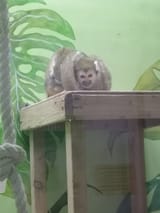 IMG_20250713_172808