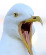1746698119779822