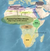 Ancient_North_African_Iberomaurusian_cline_Afroasiatic_origin_model_2023