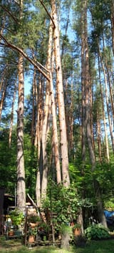 IMG_20250712_101844