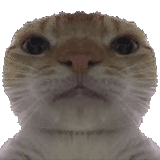 c0c80755597cf7fcaf8b0be4dad6918b_11583978150