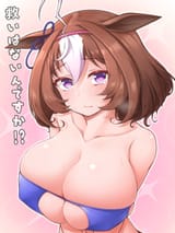 __meisho_doto_umamusume_drawn_by_yuki_to_hana__9617664d128721561773d746437ed747