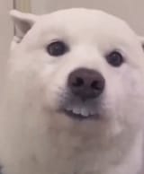 wot