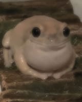 Gv1FOQNbUAAekwy