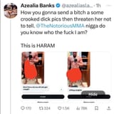 azealia-banks-exposes-conor-mcgregor-sexually-harassing-her-v0-10v2517hstcf1