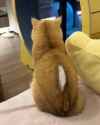 ssstwitter.com_1752512876866 (1)_thumb.jpg