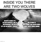 sus