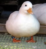 1481082124130