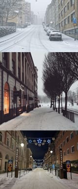 incel walk