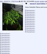 ddd