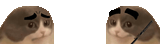 waltercut