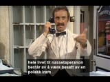 tenåringen