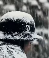 SS