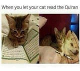 1449832151665
