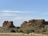 Caddo1