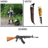 Waifu perkele