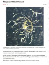 Skärmbild_15-7-2025_51126_www.aftonbladet.se