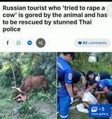 Thread 213140079 OP Image
