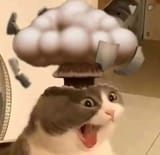 1747225989013971