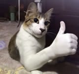 Thumbs_Up