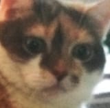 1571155863145
