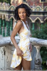 elvira_26627_1