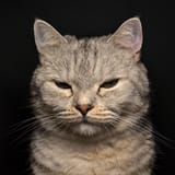 867