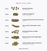 15970-bristol-stool-chart-1296x1394-english-body[1]