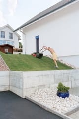 thisisswitzerland