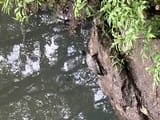 IMG_2969